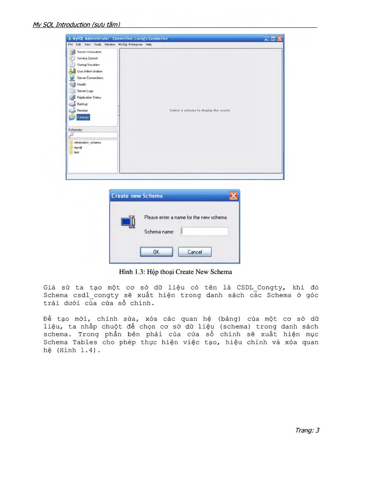 MySQL Introduction trang 3