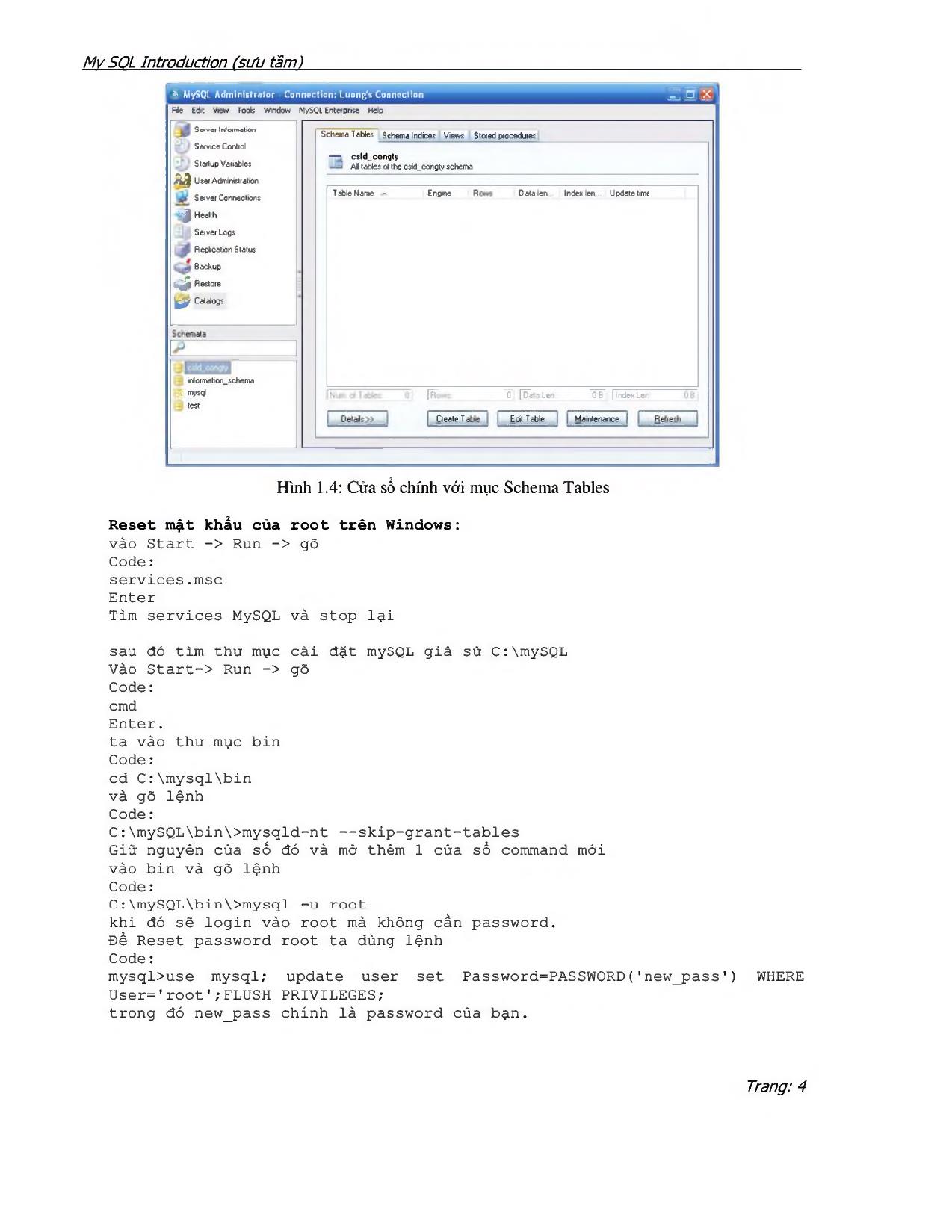 MySQL Introduction trang 4