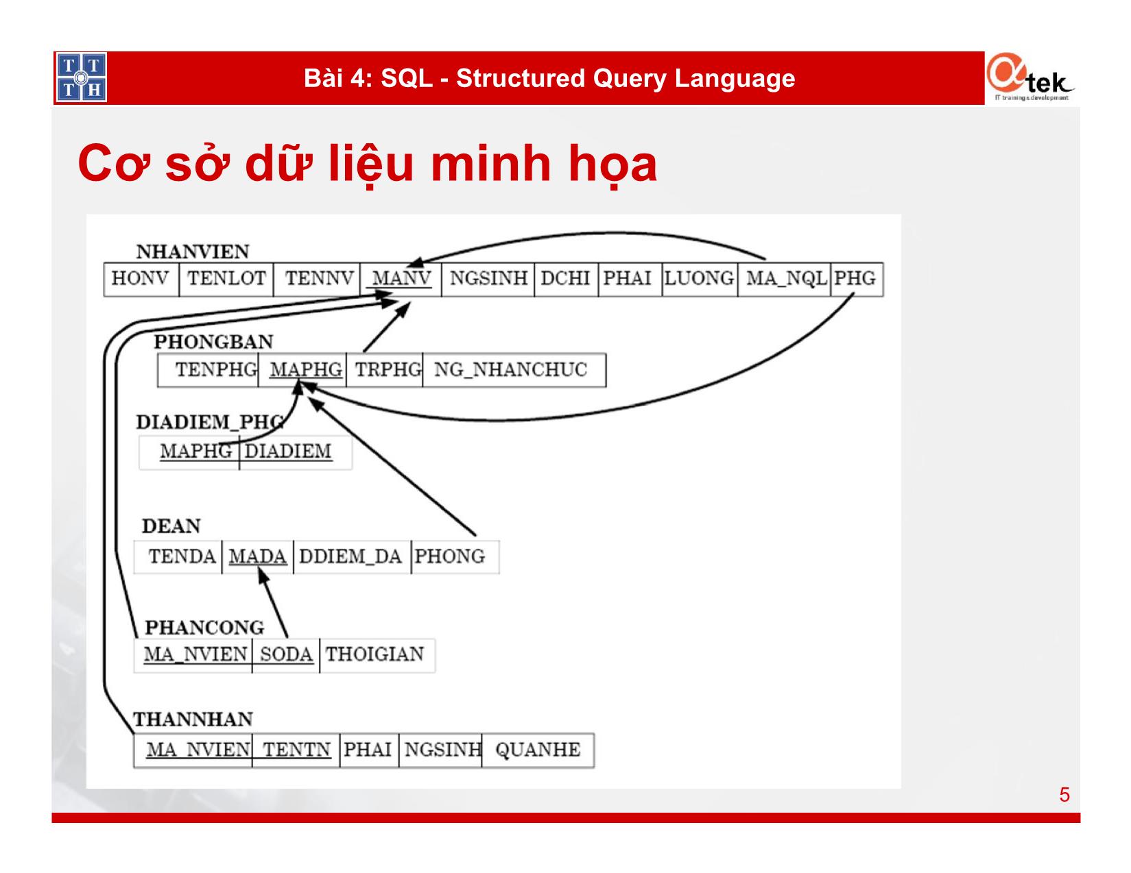 SQL Server 2012 - Bài 4: SQL - Structured Query Language trang 5