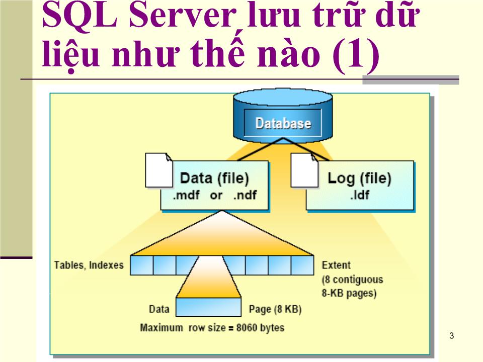 Quản lý Database trang 3