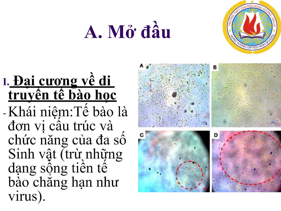 Đề tài Những thành tựu di truyền tế bào học ở Việt Nam và trên thế giới trang 2