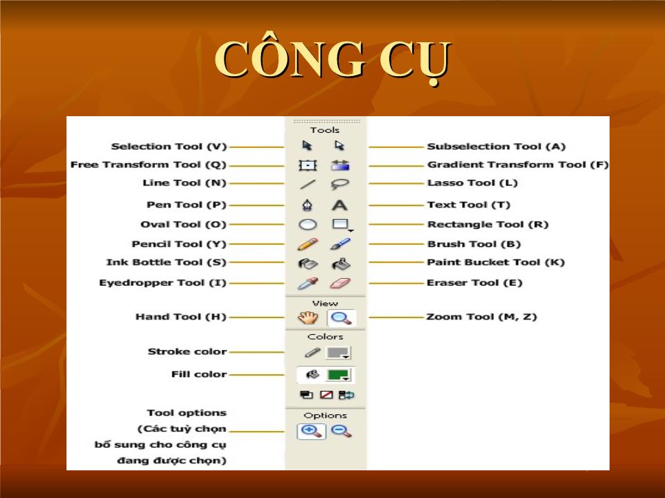 Macromedia flash 8 - Một số kiến thức cơ bản trang 2