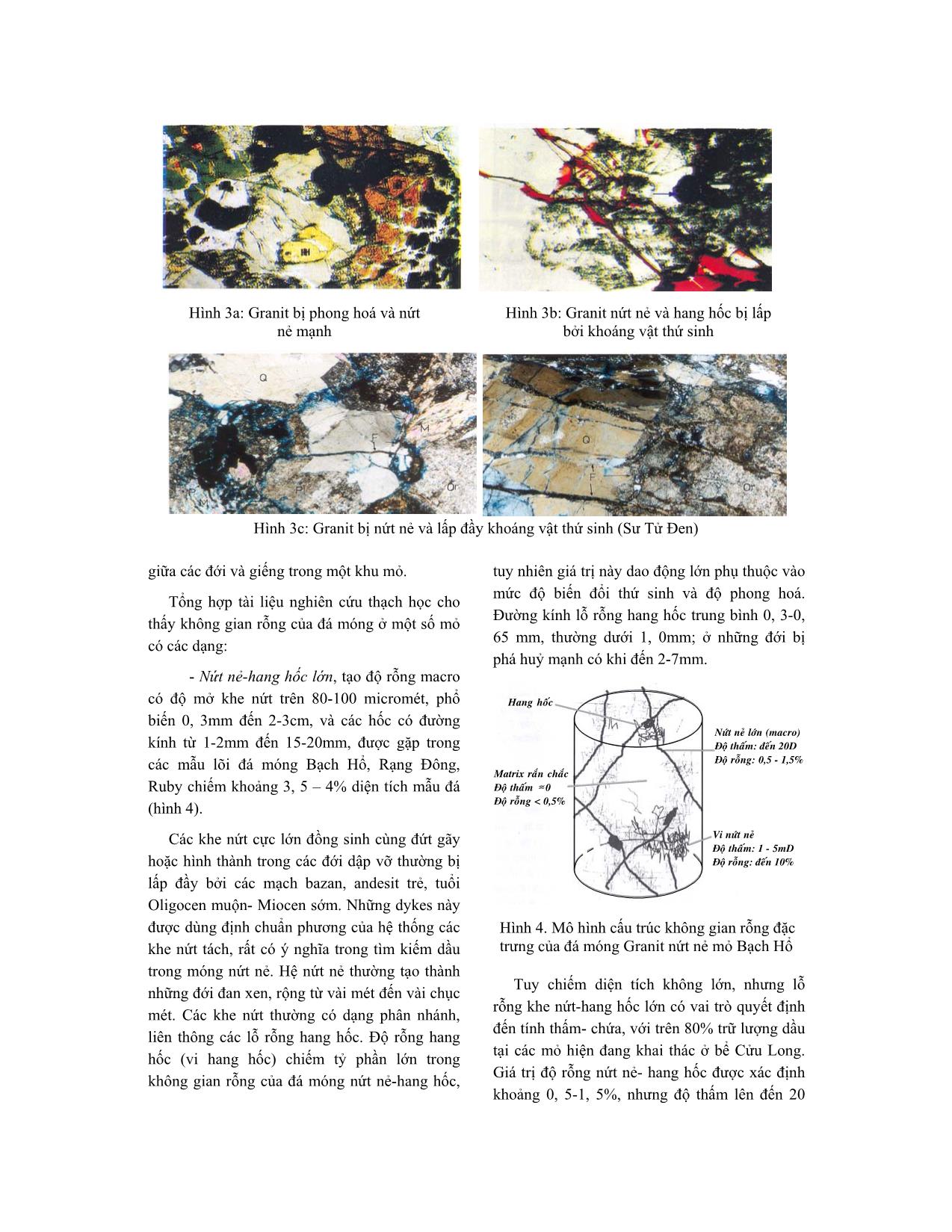 Chất lượng thấm- Chứa của đá móng nứt nẻ ở bể Cửu Long trang 4