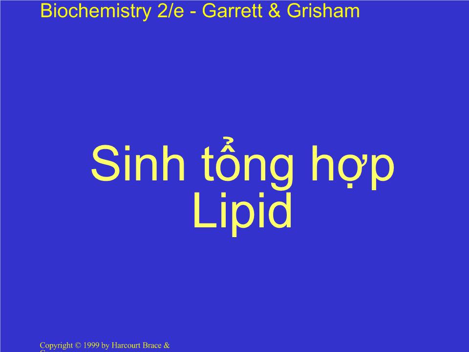 Bài giảng Sinh tổng hợp Lipid trang 1