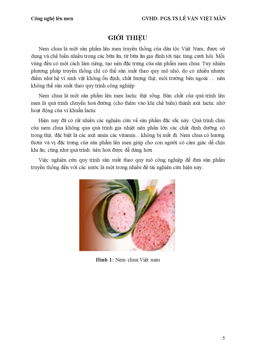 Báo cáo Fermented pork sản phẩm nem chua trang 5