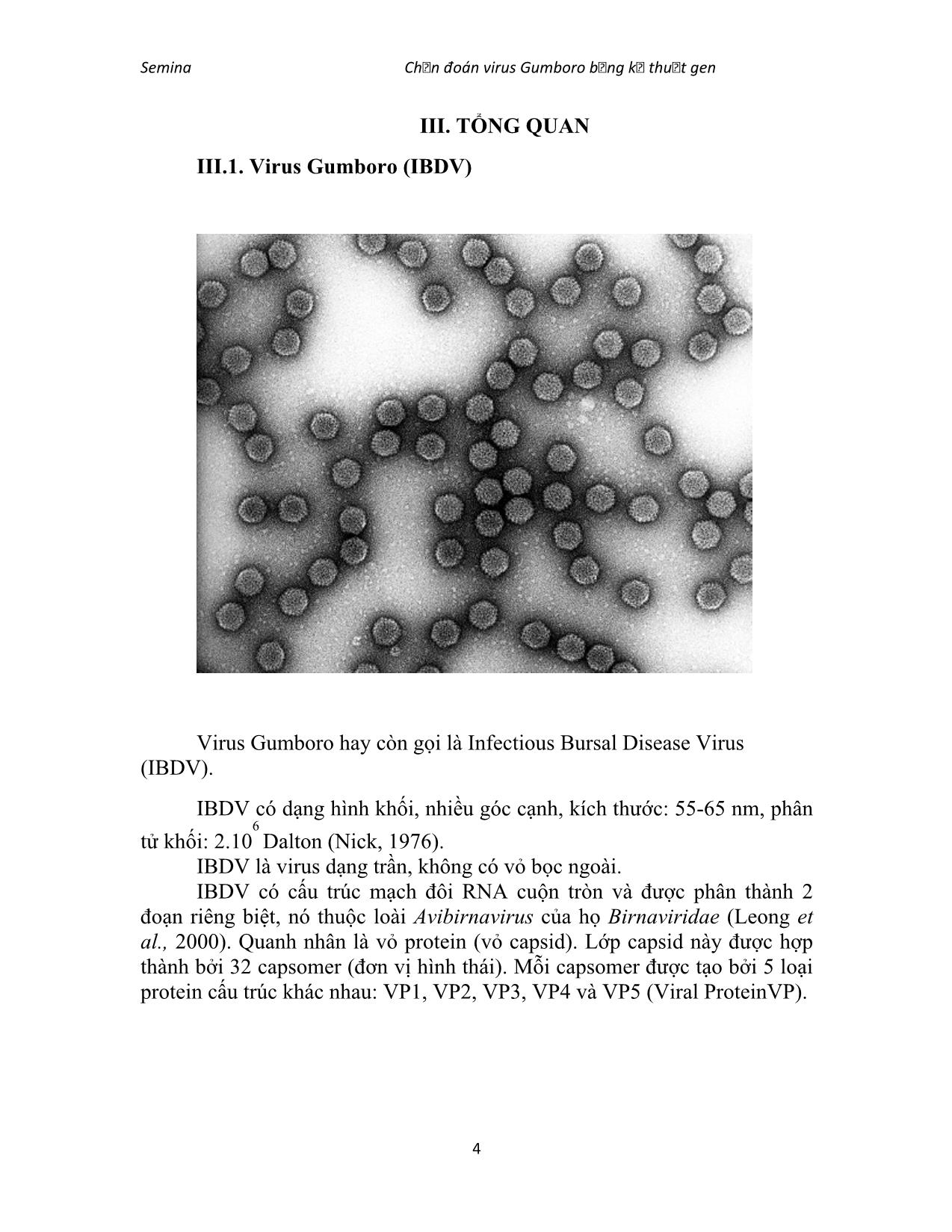 Đề tài Chẩn đoán virus gumboro (infectiuos bursal disease) bằng kỹ thuật gen trang 4
