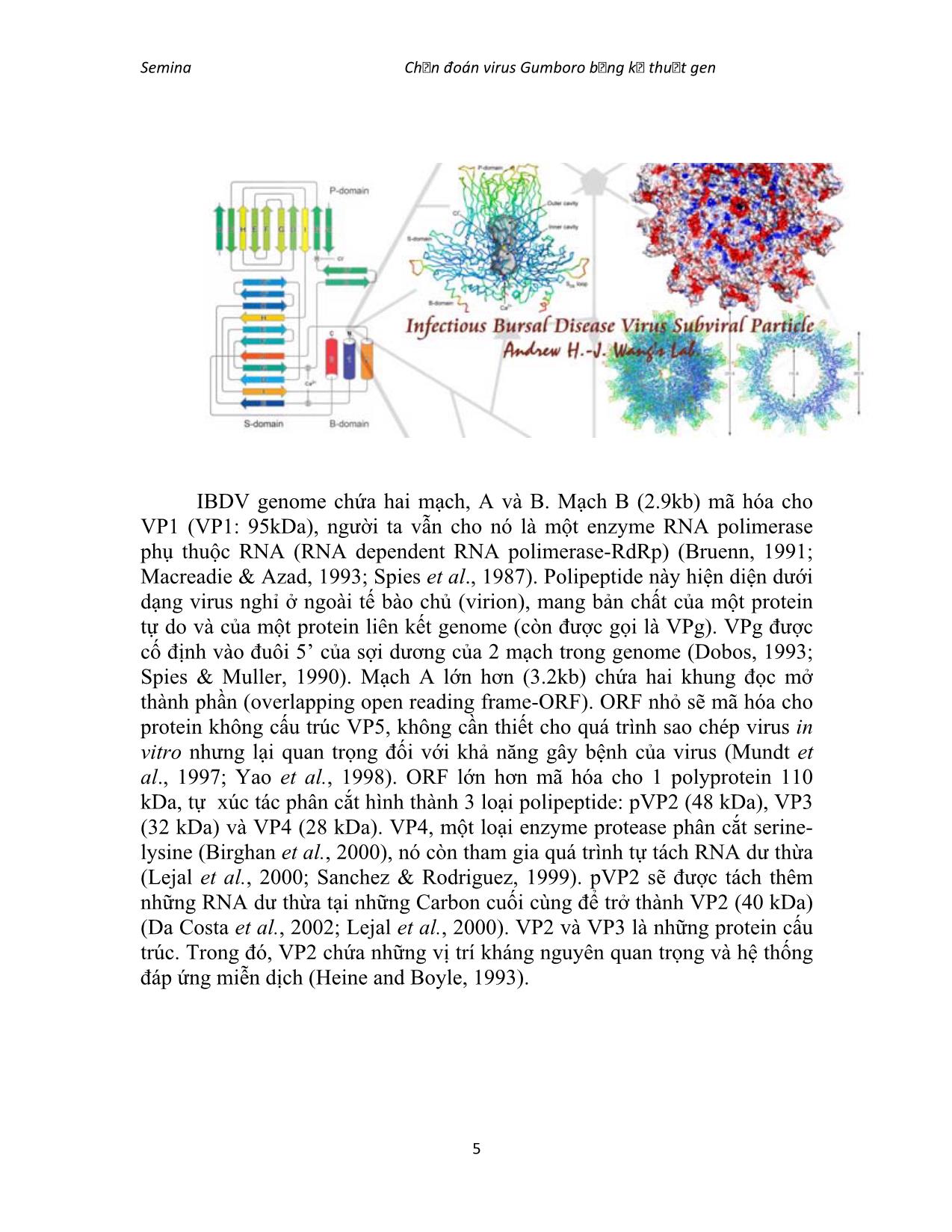 Đề tài Chẩn đoán virus gumboro (infectiuos bursal disease) bằng kỹ thuật gen trang 5