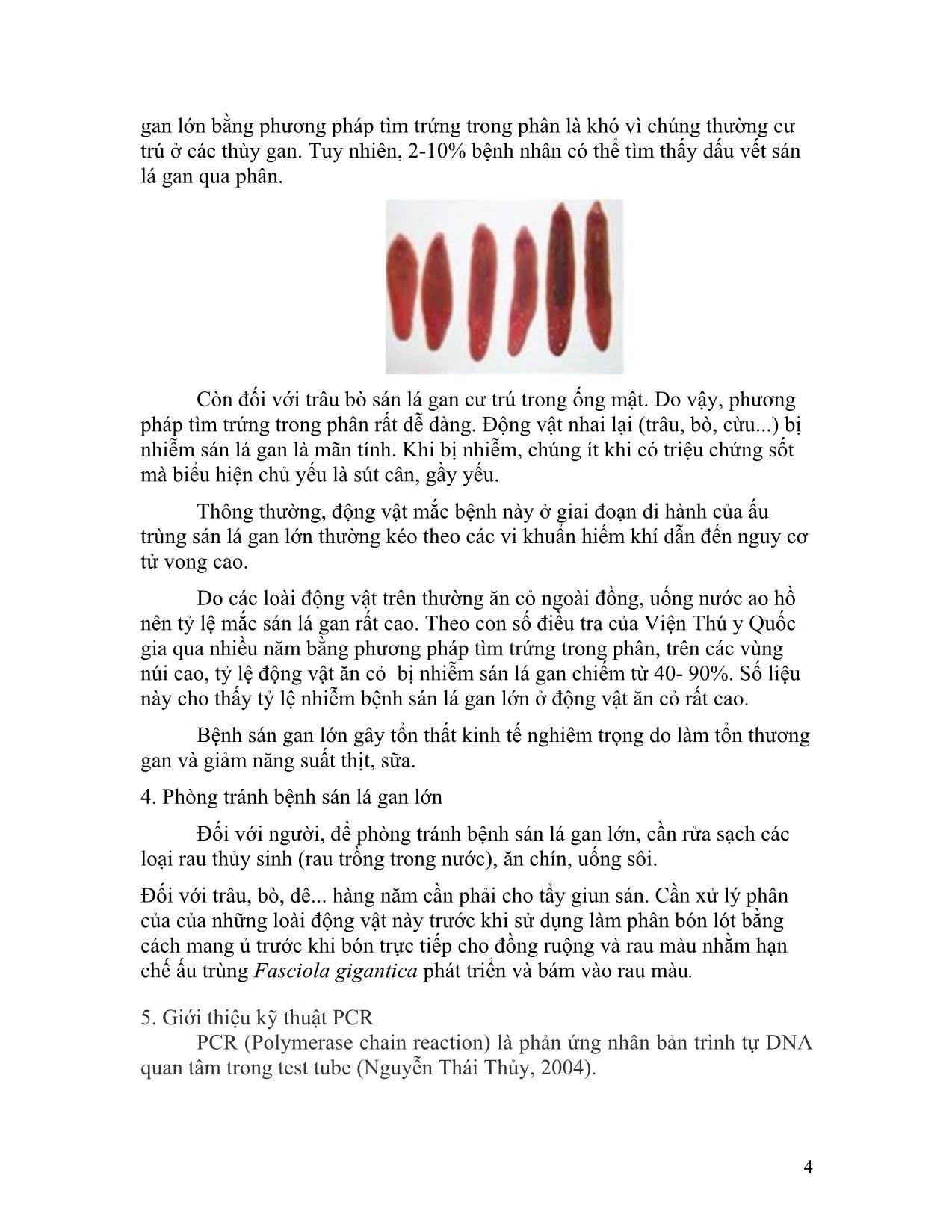 Đề tài Định loại sán lá gan lớn bằng kỹ thuật rapd-Pcr trang 5