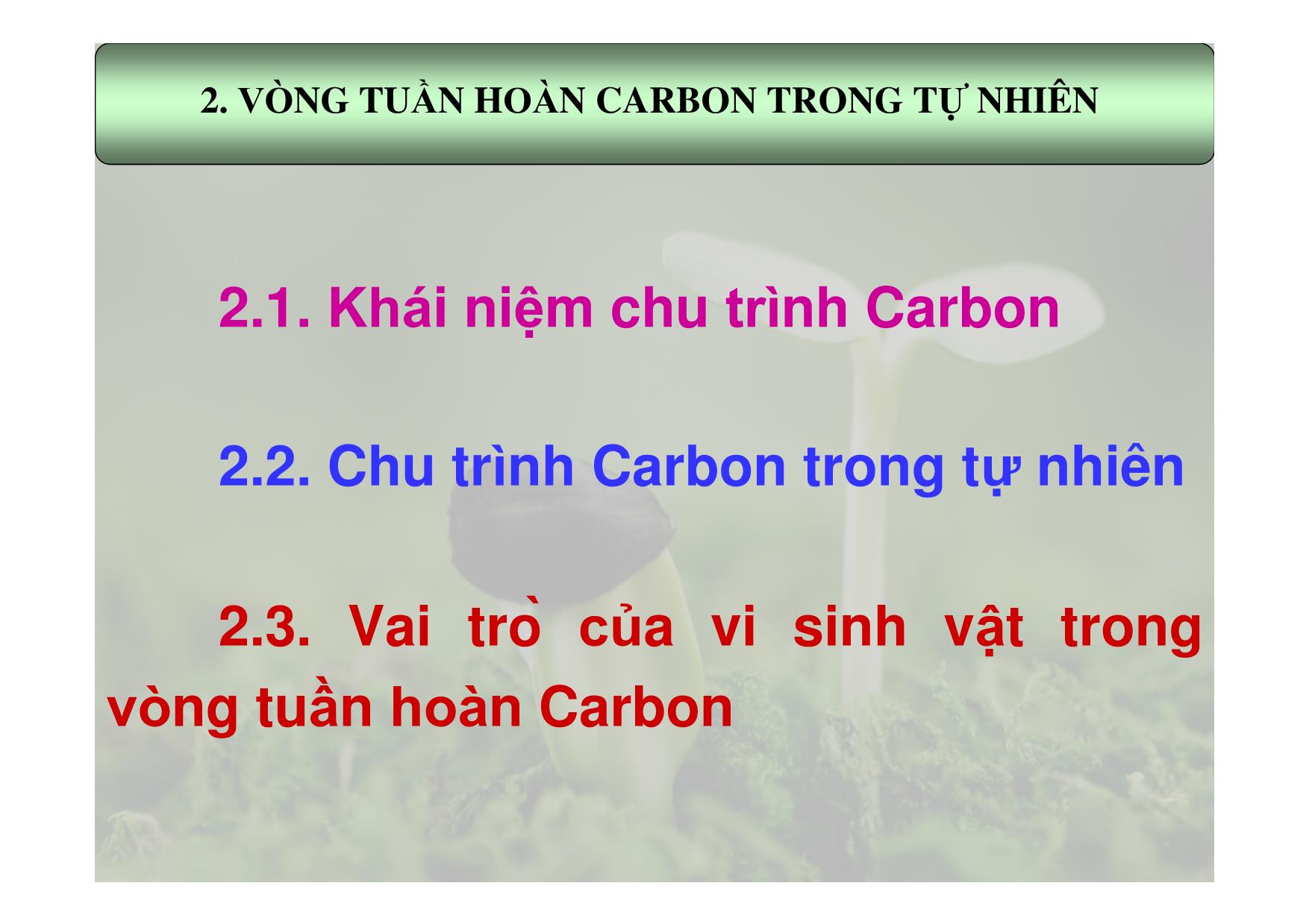 Đề tài Khả năng chuyển hóa các hợp chất carbon trong tự nhiên trang 4