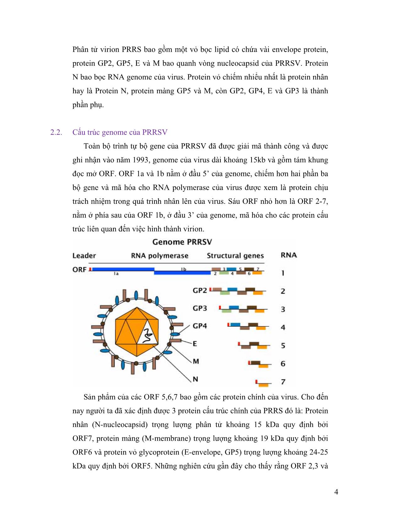 Đề tài Virus prrs và protein tái tổ hợp n ứng dụng trong chẩn đoán trang 4