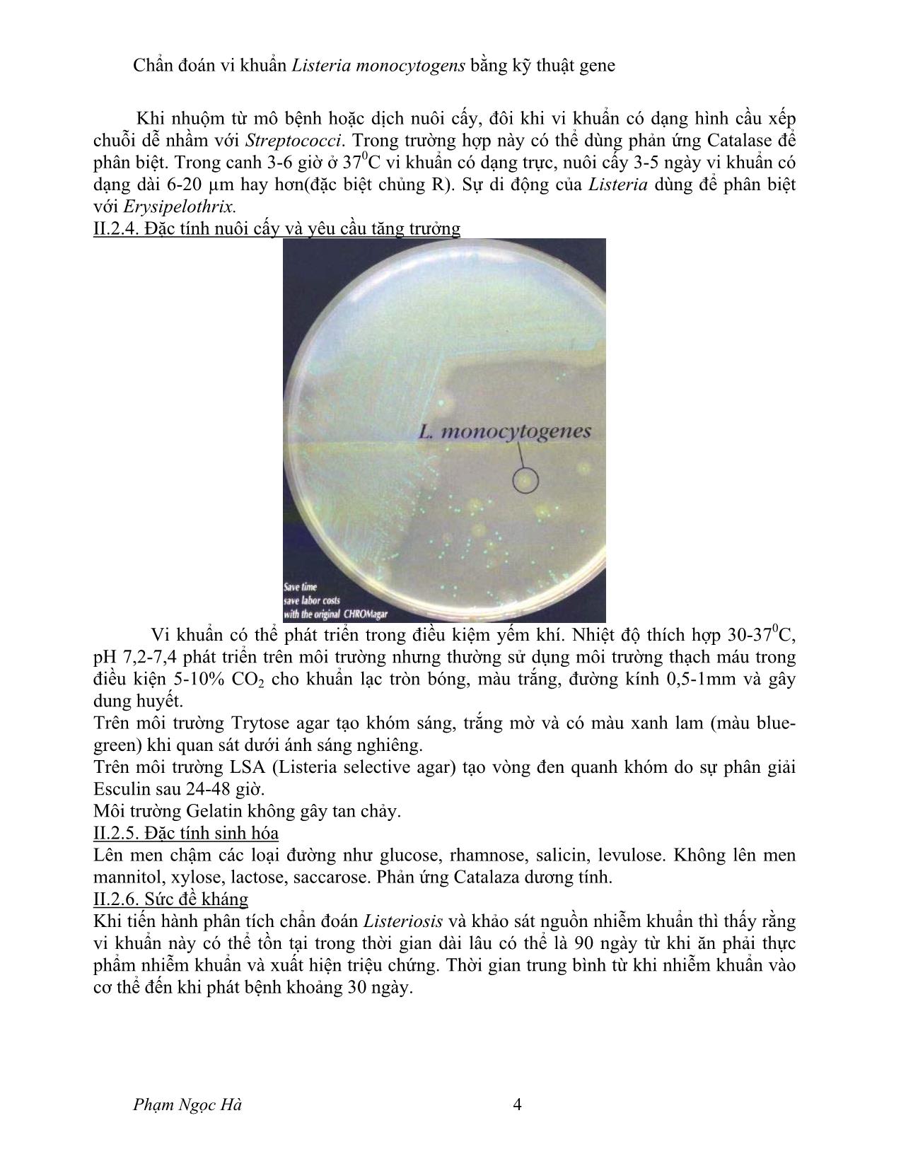 Tiểu luận Chẩn đoán vi khuẩn listeria bằng kỹ thuật gen trang 4