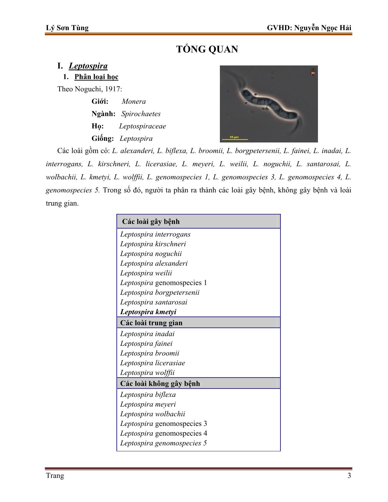 Tiểu luận Một số kỹ thuật chẩn đoán vi khuẩn leptospira trang 3
