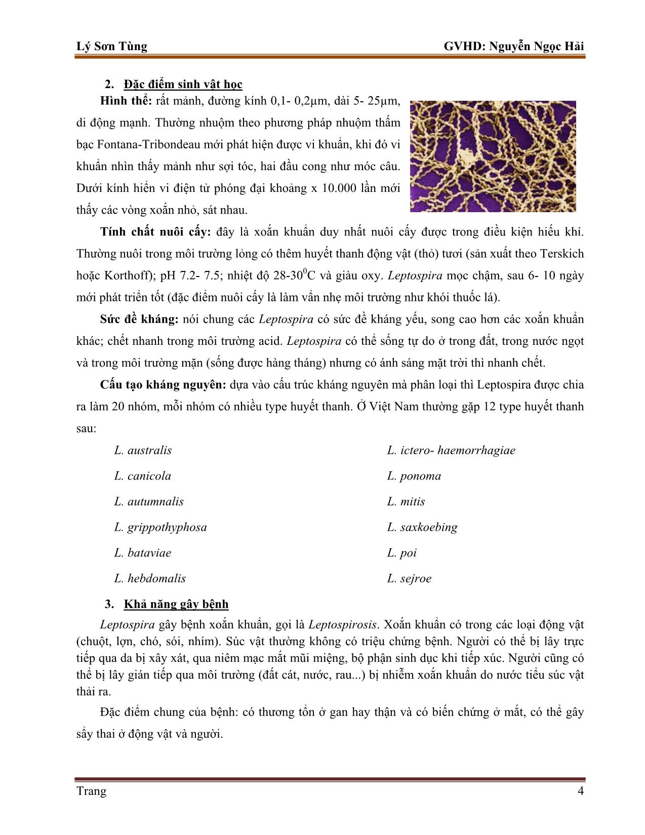 Tiểu luận Một số kỹ thuật chẩn đoán vi khuẩn leptospira trang 4