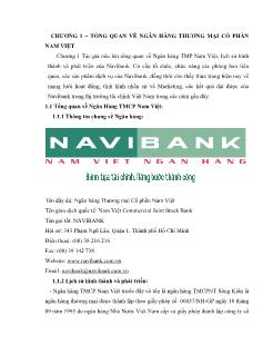 Báo cáo Thực tập tại ngân hàng thương mại cổ phần Nam Việt