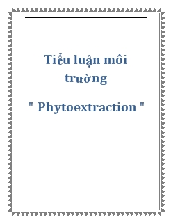 Tiểu luận Phytoextraction