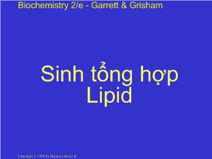 Bài giảng Sinh tổng hợp Lipid