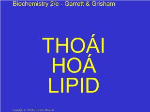 Bài giảng Thoái hoá lipid